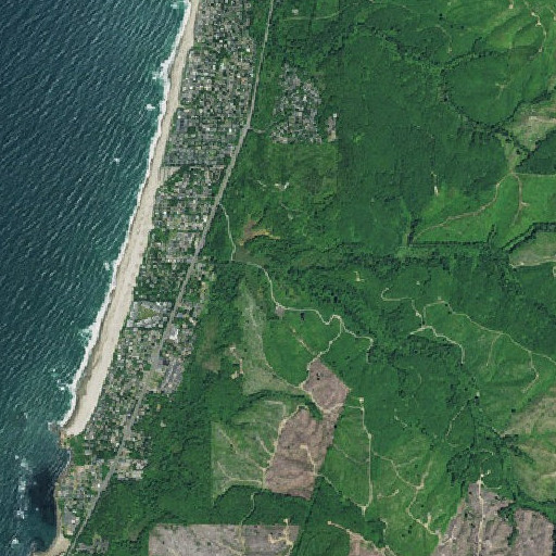 Aerial imagery of Salmon Creek, OR