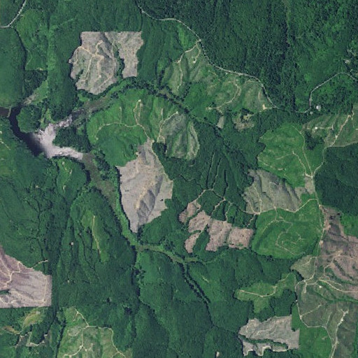 Aerial imagery of Yoakam Hill, OR