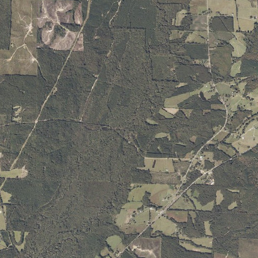 Aerial imagery of Aston Branch, AL