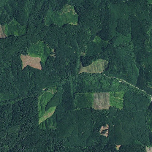 Aerial imagery of Enos Creek, OR