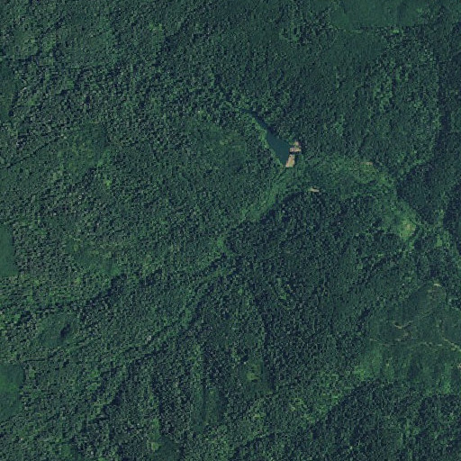 Aerial imagery of Connection Creek, OR