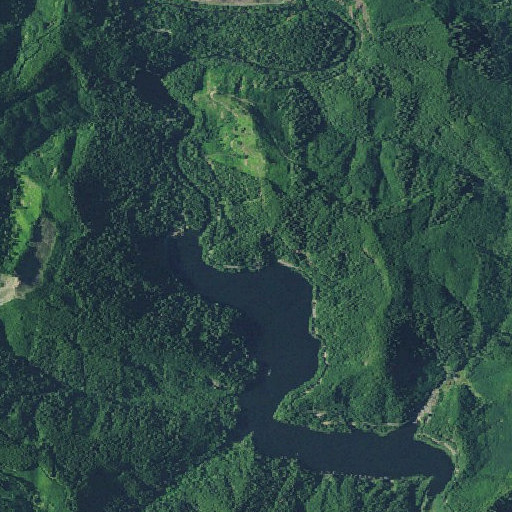 Aerial imagery of Beehive Rock, OR