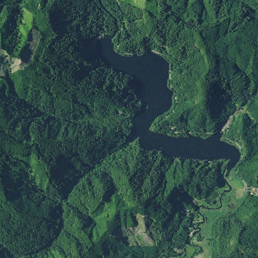 Aerial imagery of Saint Patricks Rock, OR