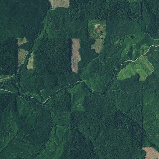 Aerial imagery of Maxwell Creek, OR