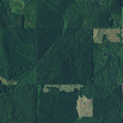 Aerial imagery of Green Ridge, OR