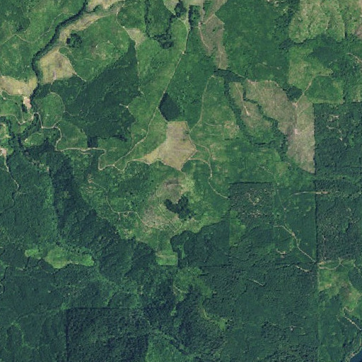 Aerial imagery of Gobblers Knob, OR