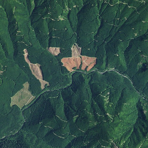 Aerial imagery of Maple Creek, OR