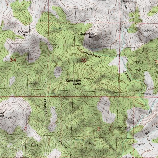 USGS 24K topo map of Thompson Butte, OR