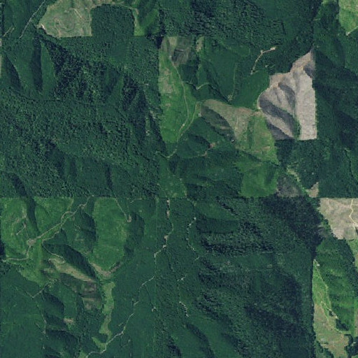 Aerial imagery of Tom Folley Mountain, OR