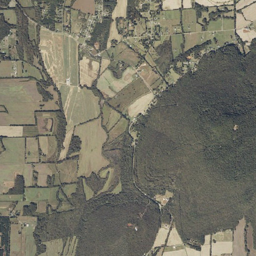 Aerial imagery of Beason Spring, AL
