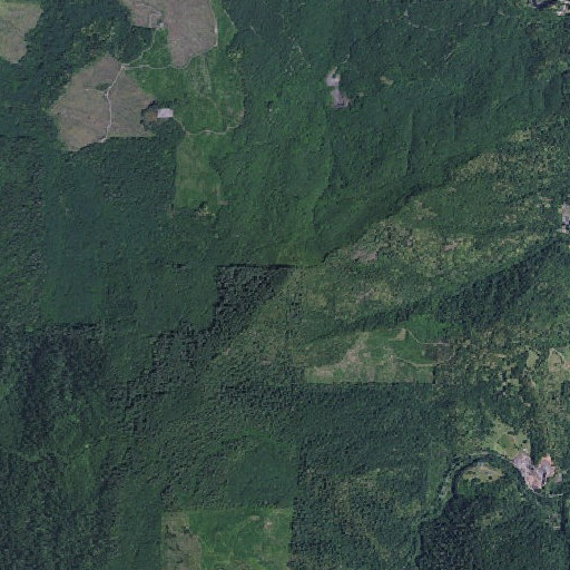 Aerial imagery of Bingham Mountain, OR