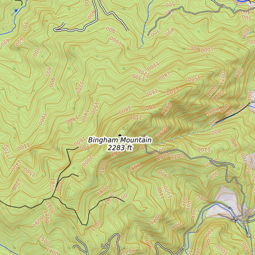 OpenTopoMap map of Bingham Mountain, OR
