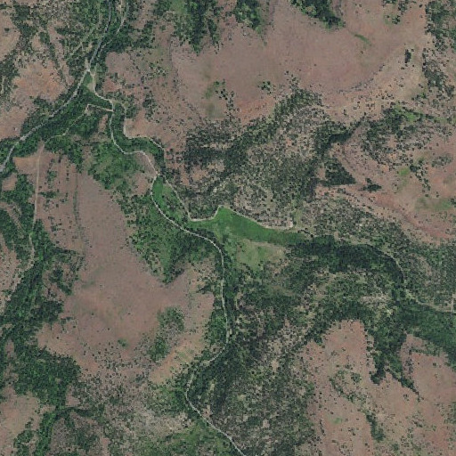 Aerial imagery of Bully Creek, OR