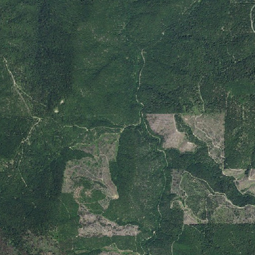 Aerial imagery of Cinnabar Gulch, OR