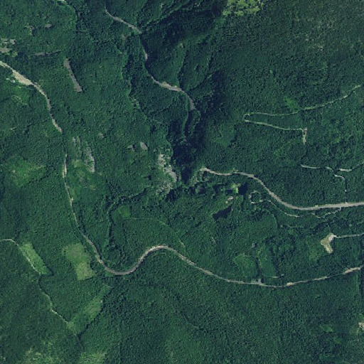 Aerial imagery of Diamond Creek, OR