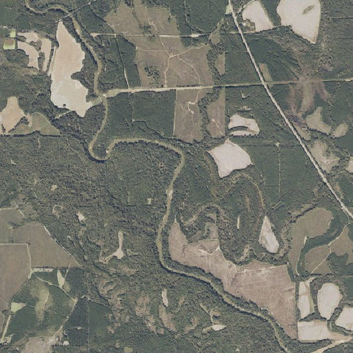Aerial imagery of Bingham Creek, AL