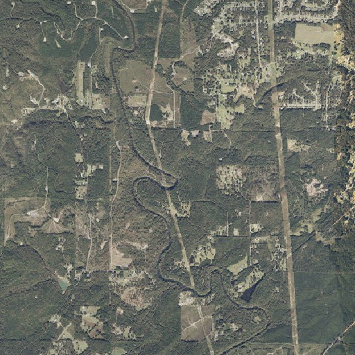 Aerial imagery of Black Branch, AL