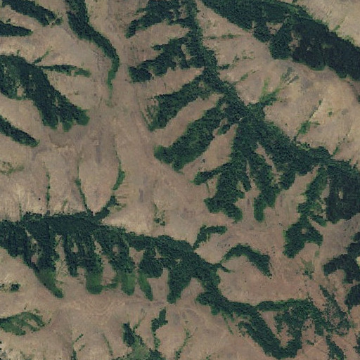 Aerial imagery of Light Ridge, OR