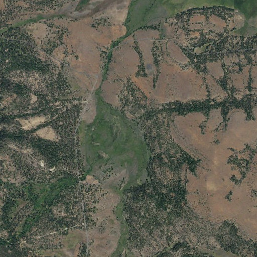 Aerial imagery of Lookout Creek, OR