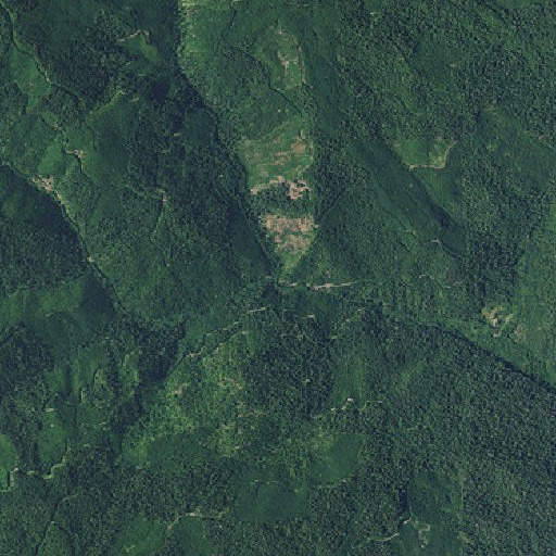 Aerial imagery of Middle Fork Deadman Creek, OR
