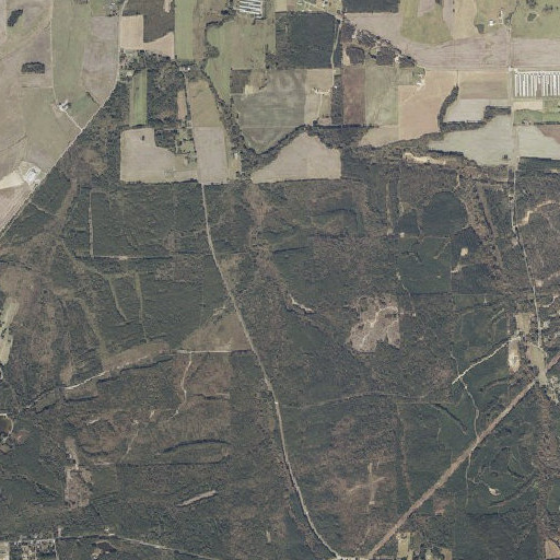 Aerial imagery of Bob Hollow Branch, AL