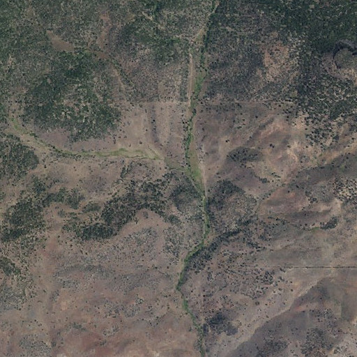 Aerial imagery of Pringle Creek, OR