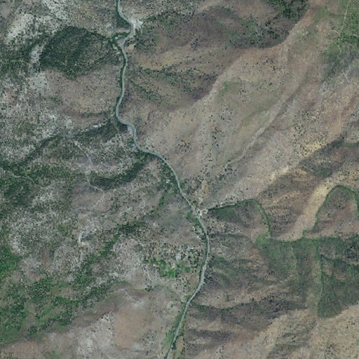 Aerial imagery of Rhodabush Creek, OR
