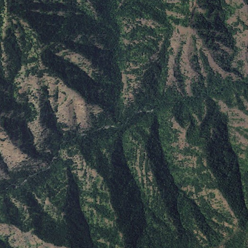 Aerial imagery of Skiphorton Creek, OR