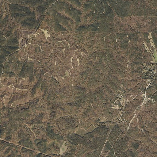 Aerial imagery of Buck Branch, AL