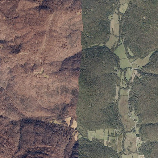Aerial imagery of Buddy Top, AL