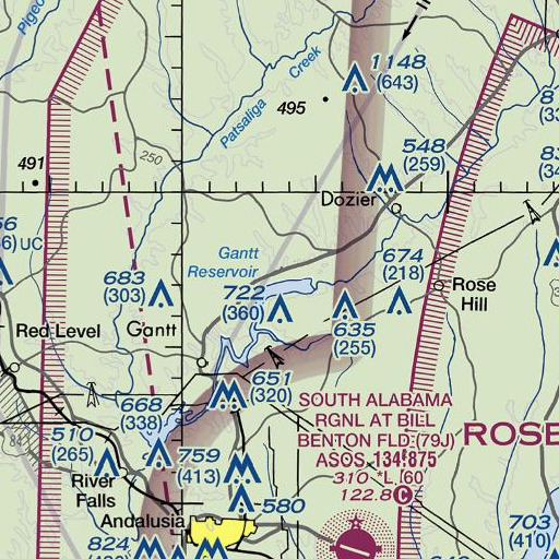 FAA VFR chart of Burn Branch, AL