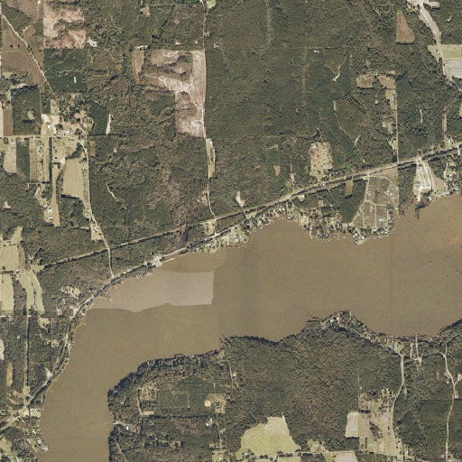 Aerial imagery of Burn Branch, AL