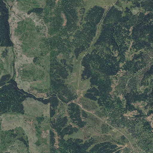 Aerial imagery of Joso Meadow, OR