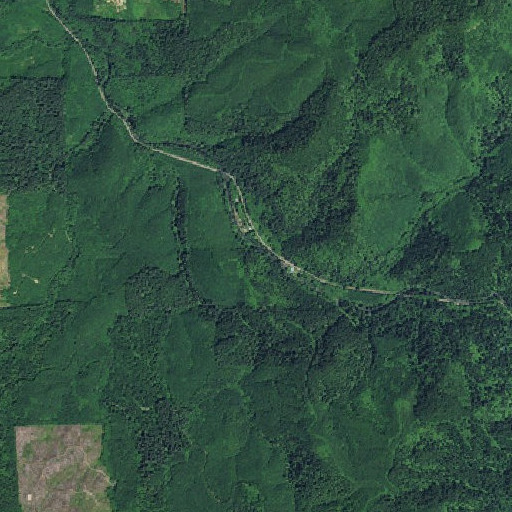 Aerial imagery of Fox Creek, OR