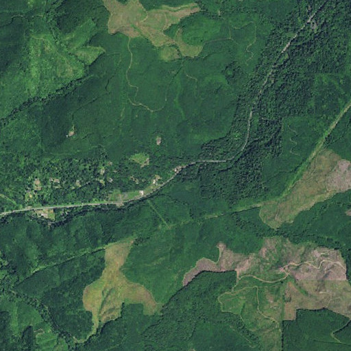 Aerial imagery of Swampy Creek, OR