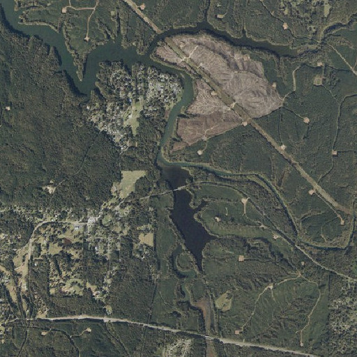 Aerial imagery of Camp Branch, AL