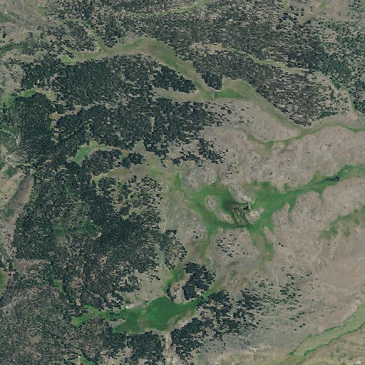 Aerial imagery of Rail Gulch, OR