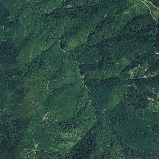Aerial imagery of Pool Creek, OR
