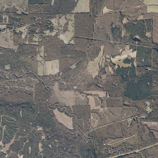 Aerial imagery of Caney Branch, AL