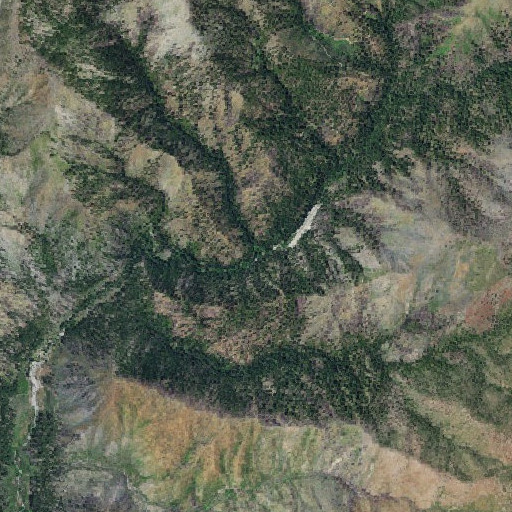Aerial imagery of Rawhide Creek, OR