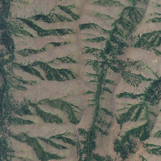 Aerial imagery of Miller Ridge, OR