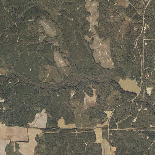 Aerial imagery of Cat Branch, AL
