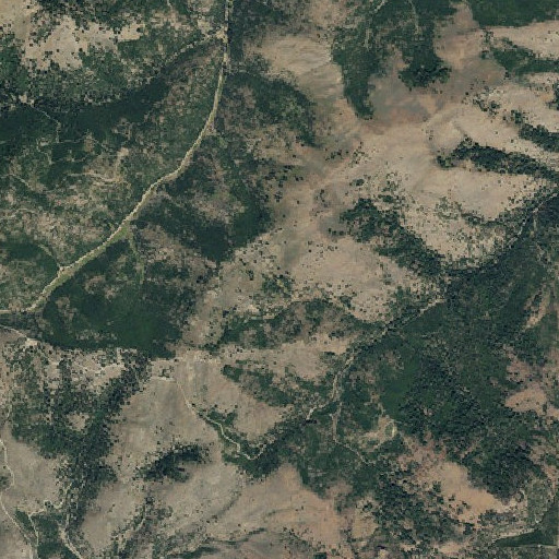 Aerial imagery of Mule Spring, OR