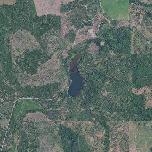 Aerial imagery of Medco Pond, OR