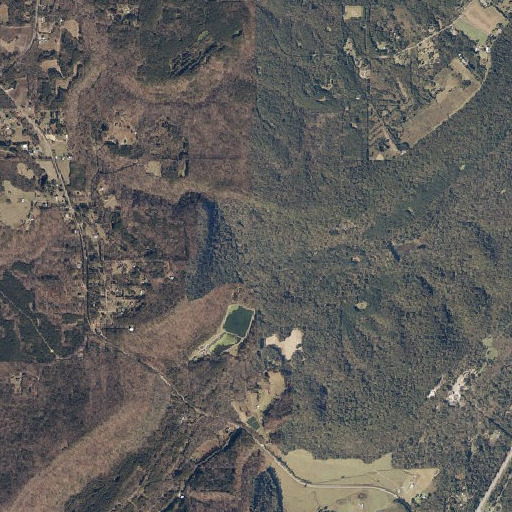 Aerial imagery of Cheney Branch, AL