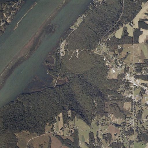 Aerial imagery of Chisenhall Spring, AL