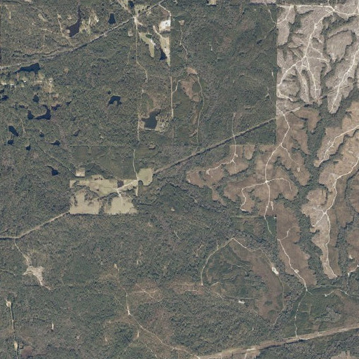 Aerial imagery of Citronelle Branch, AL