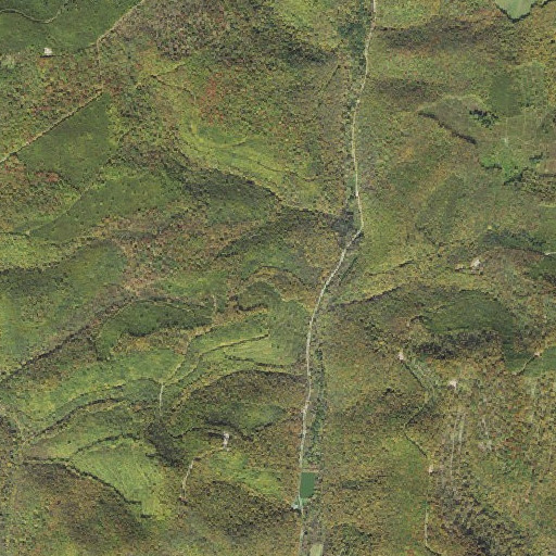 Aerial imagery of Arts Trail, PA