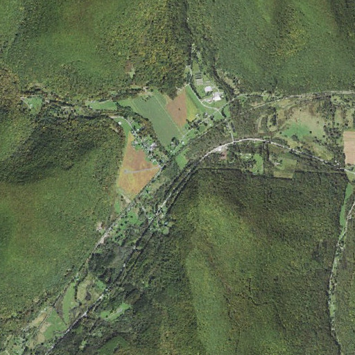 Aerial imagery of Asaph Run, PA