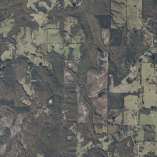 Aerial imagery of Dillard Branch, AL